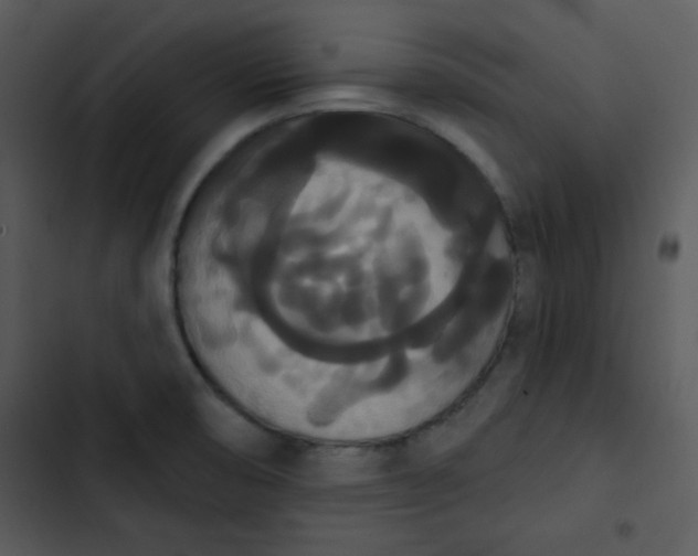 X0000102811474200809081057