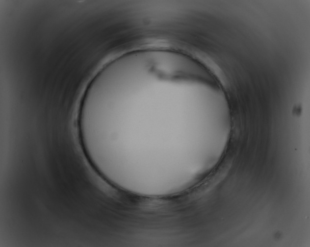 X0000102811475200809081057