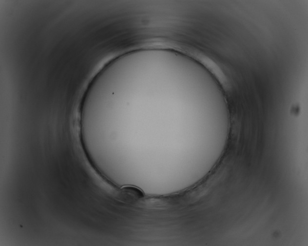 X0000102811476200809081057