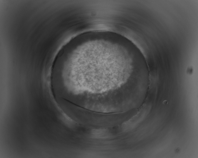 X0000102811477200809081057