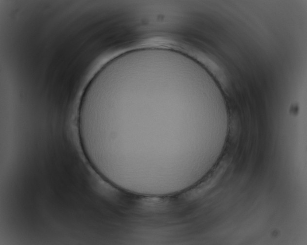 X0000102811478200809081057