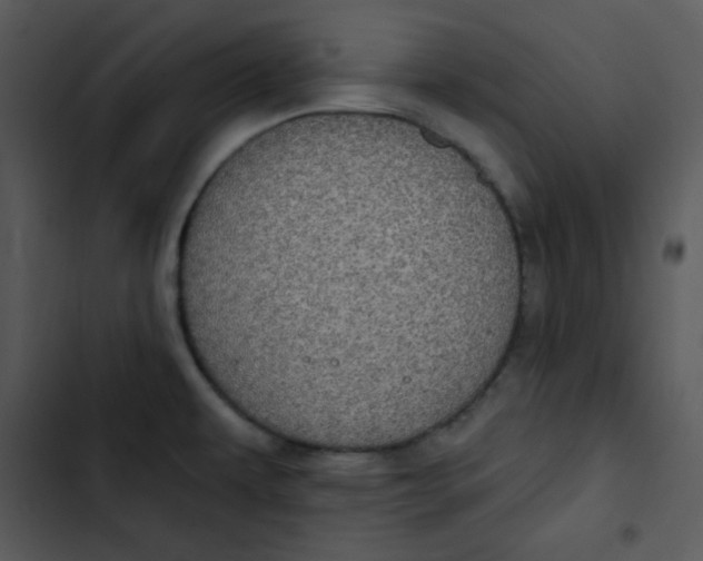 X0000102811479200809081057