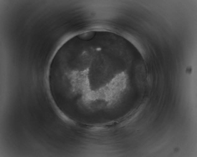 X0000102811482200809081057