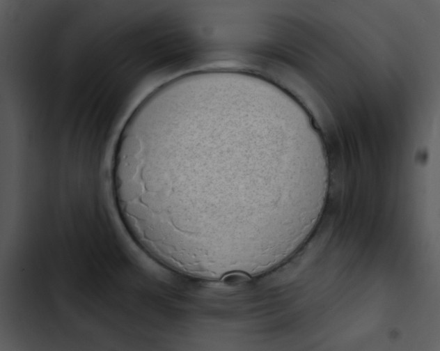 X0000102811483200809081057