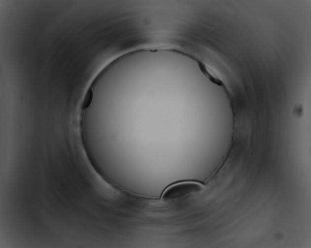 X0000102811484200809081057