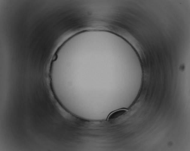 X0000102811485200809081057