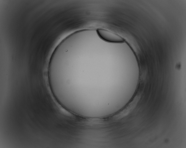 X0000102811486200809081057