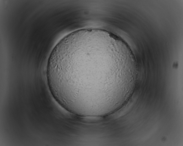 X0000102811487200809081057