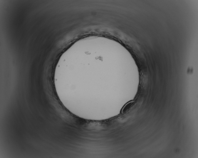 X0000102811489200809081056