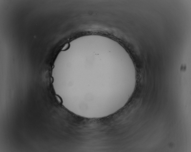 X0000102811493200809081056