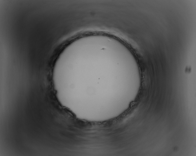 X0000102811494200809081056