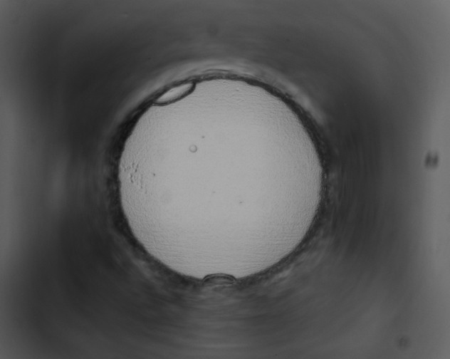 X0000102811496200809081056