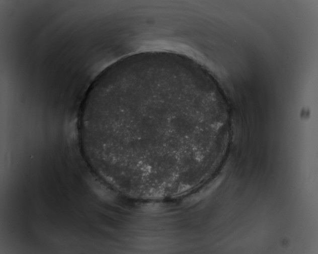 X0000102811497200809081056