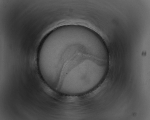 X0000102811498200809081056