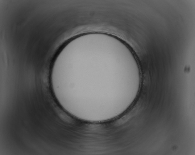 X0000102811499200809081056