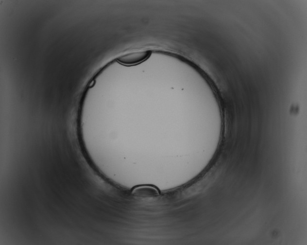 X0000102811500200809081056