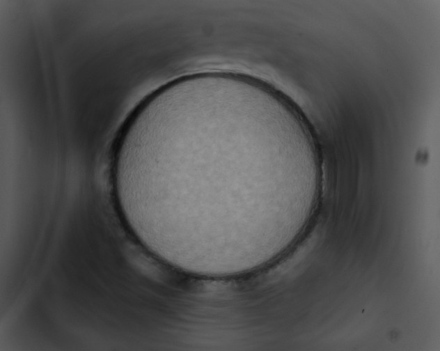 X0000102811501200809081056