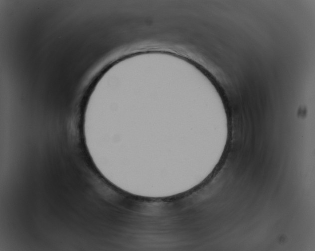 X0000102811502200809081056