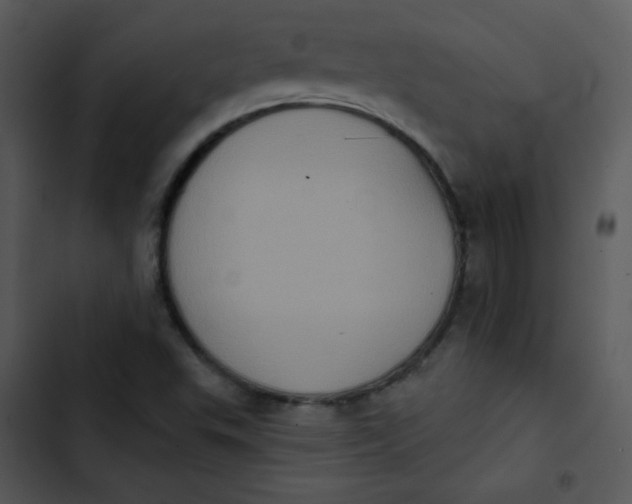 X0000102811503200809081056