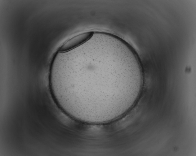 X0000102811504200809081056