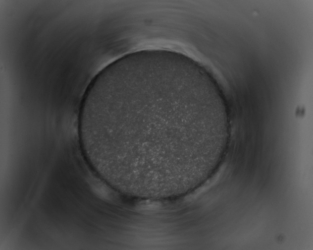 X0000102811505200809081056