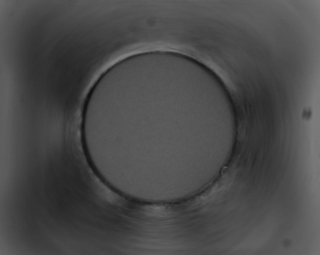 X0000102811508200809081056