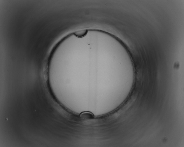 X0000102811510200809081056