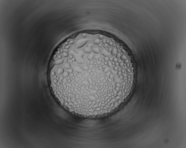 X0000102811513200809081056