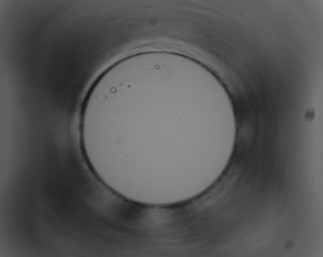 X0000102811514200809081056