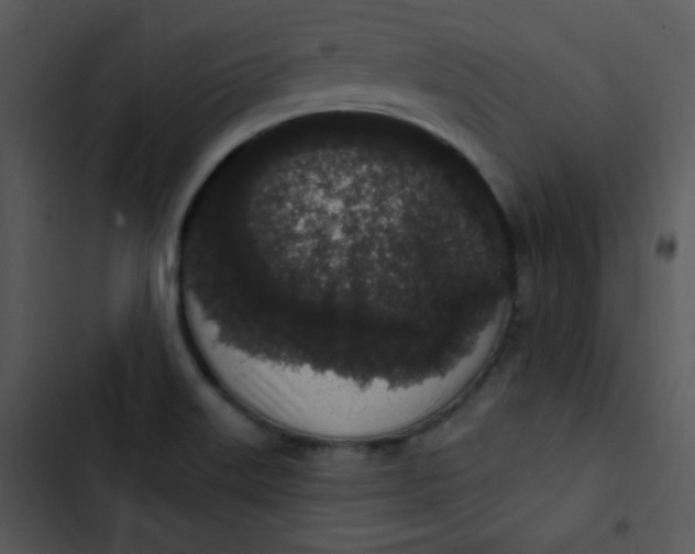 X0000102811515200809081056