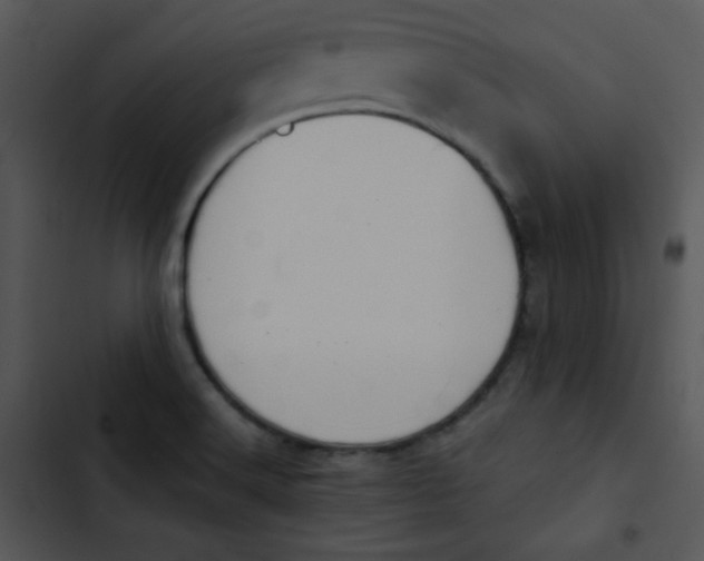 X0000102811516200809081056