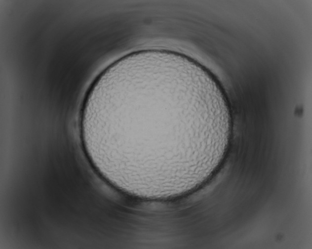 X0000102811517200809081056