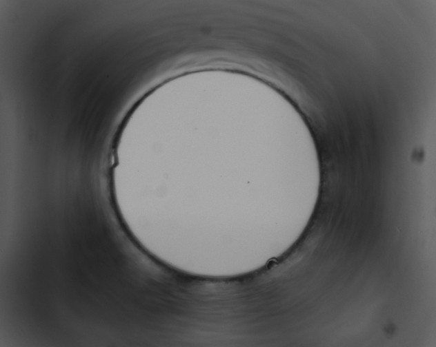 X0000102811518200809081057