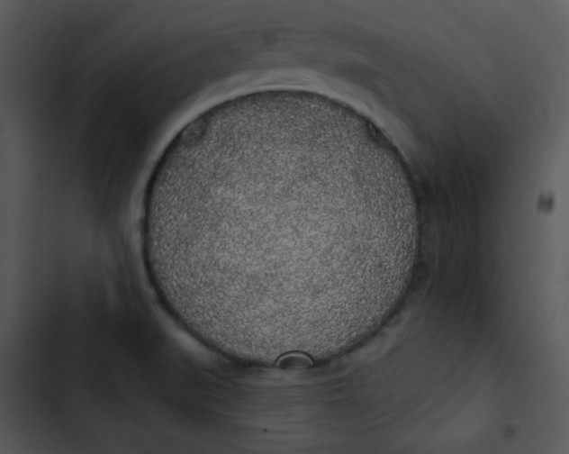 X0000102811519200809081057