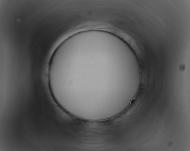 X0000102811520200809081057