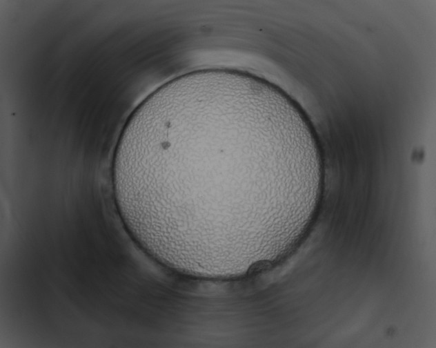 X0000102811521200809081057