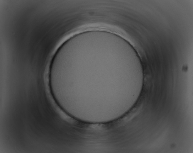 X0000102811523200809081057