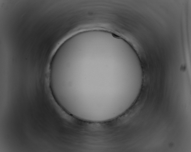 X0000102811524200809081057