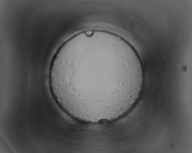 X0000102811525200809081057