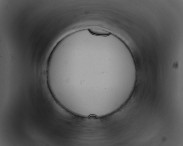 X0000102811526200809081057