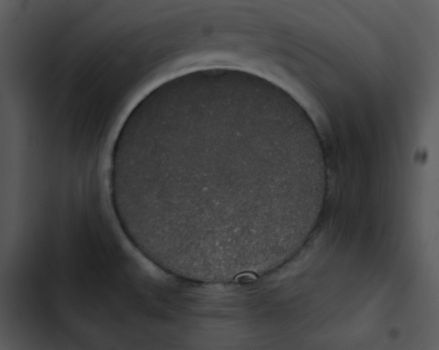 X0000102811527200809081057