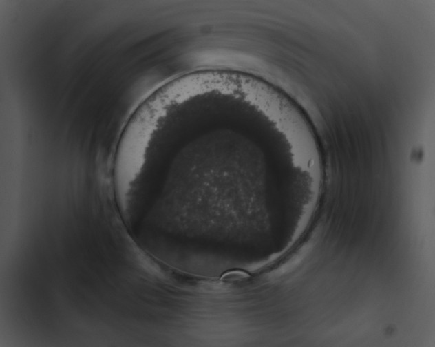 X0000102811529200809081057