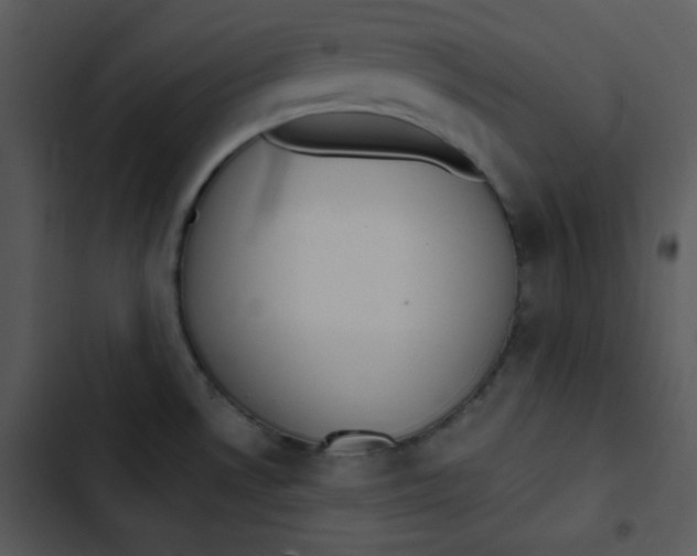 X0000102811530200809081057