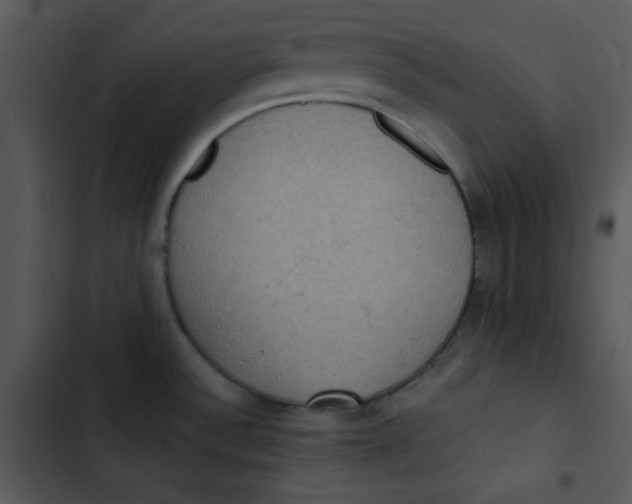 X0000102811532200809081057