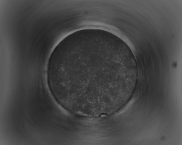 X0000102811533200809081057