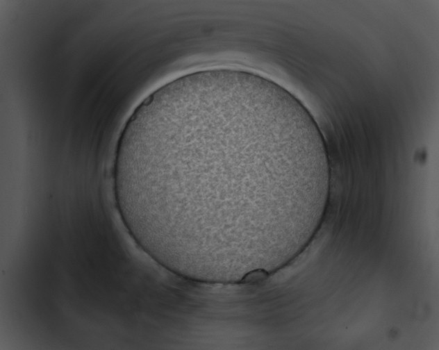 X0000102811534200809081057