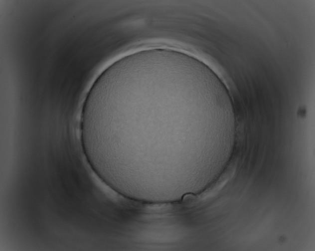 X0000102811535200809081057