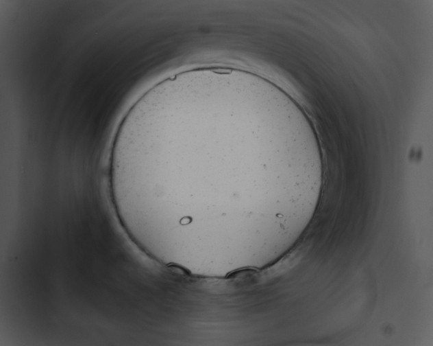 X0000102811536200809081057