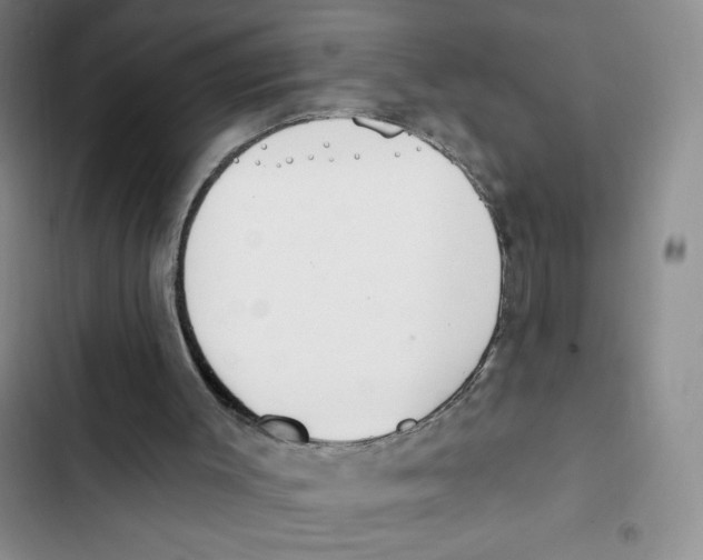 X0000102810003200809151002