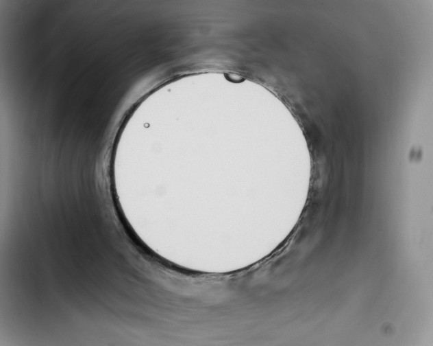 X0000102810004200809151002